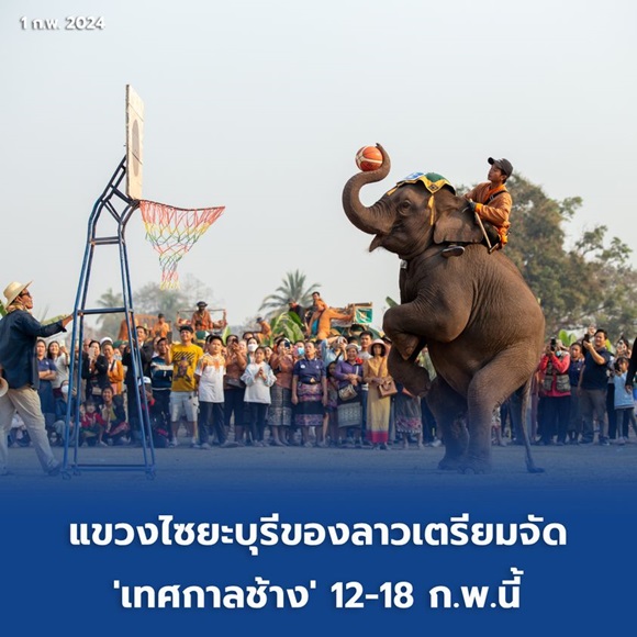 1ทศกาลช้าง